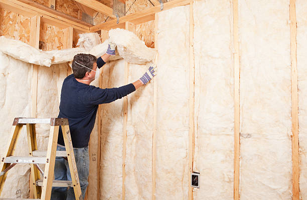 Best Blown-In Insulation  in Kekoskee, WI